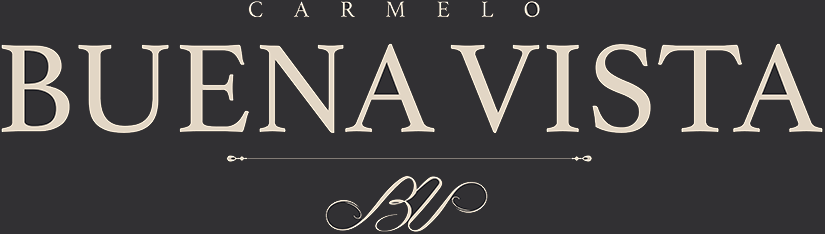 Buena Vista Logo